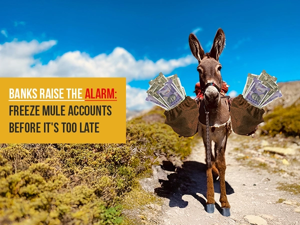 Blog thumbnail 600x450 MULE ACCOUNT 63 Sats Cybersecurity India